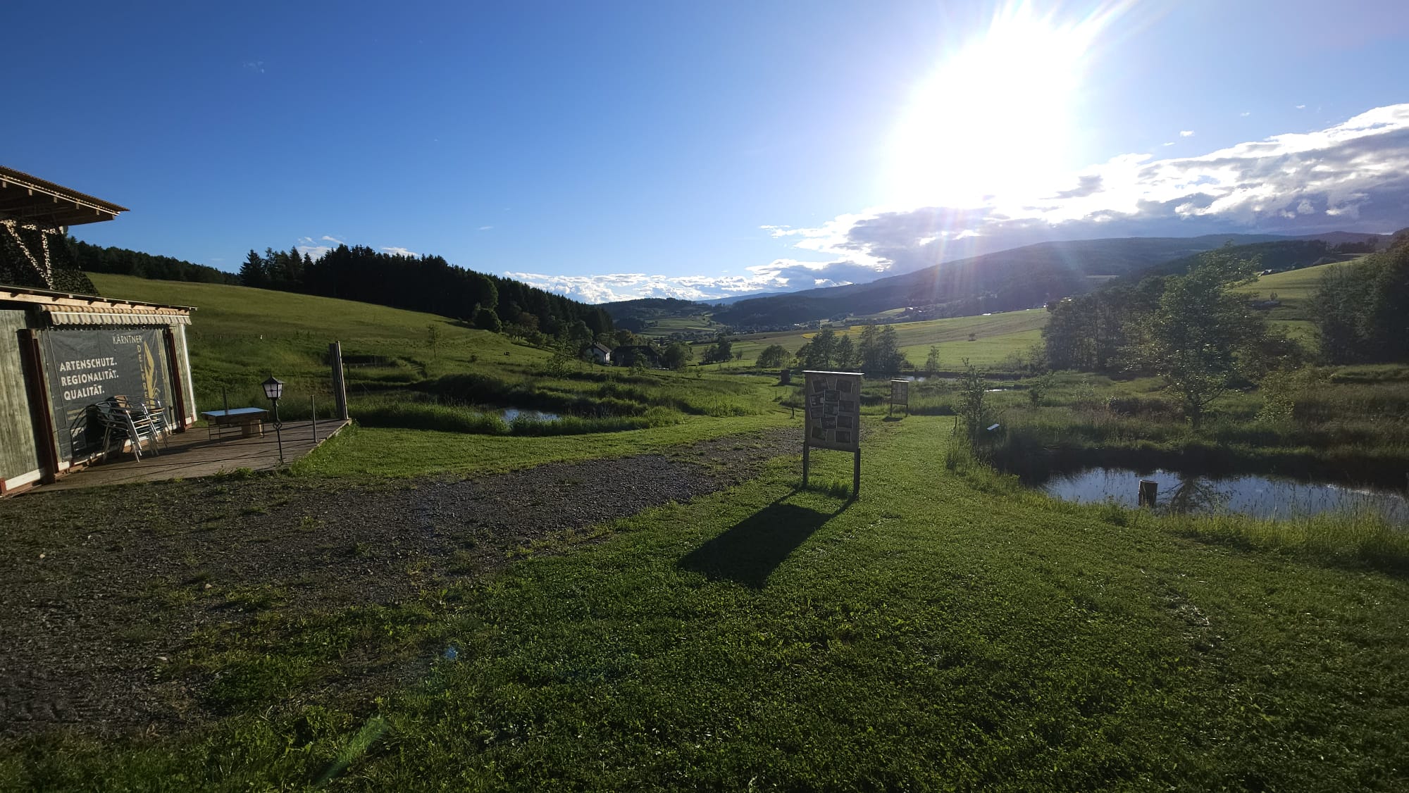 Kärntner Edelkrebse 